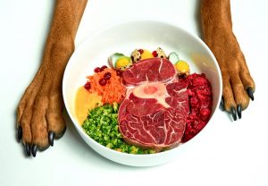 Barf food for dogs